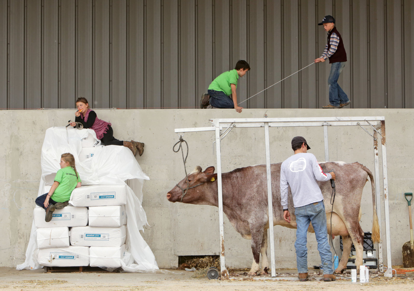 World Dairy Expo